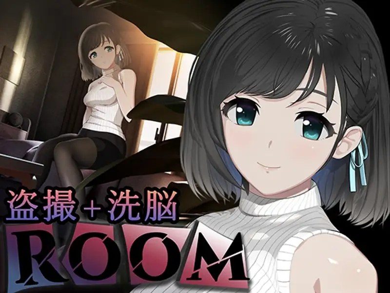 ROOM 日系SLG 资料图 2
